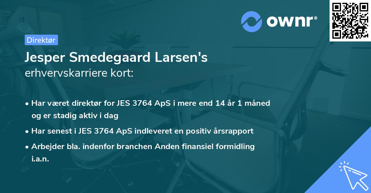 Jesper Smedegaard Larsen's erhvervskarriere kort