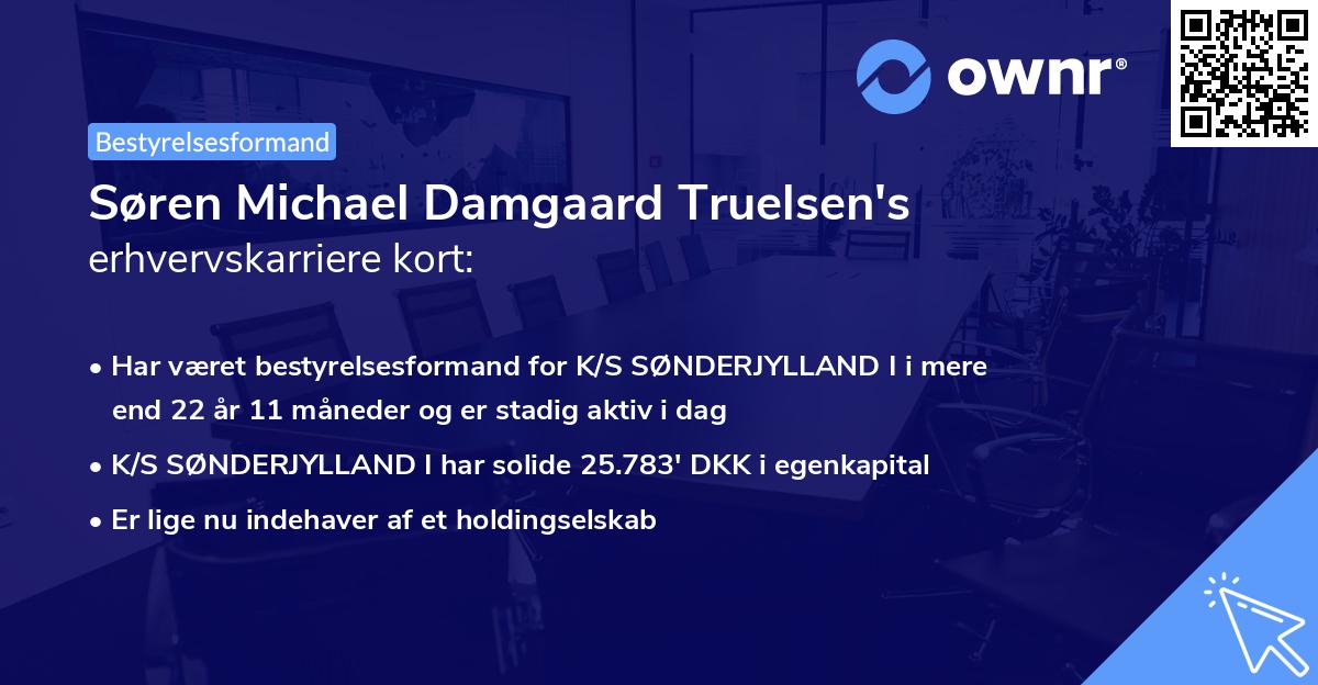 Søren Michael Damgaard Truelsen's erhvervskarriere kort