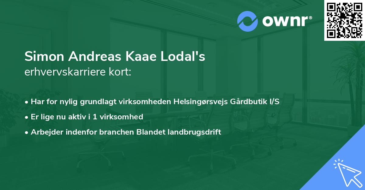 Simon Andreas Kaae Lodal's erhvervskarriere kort