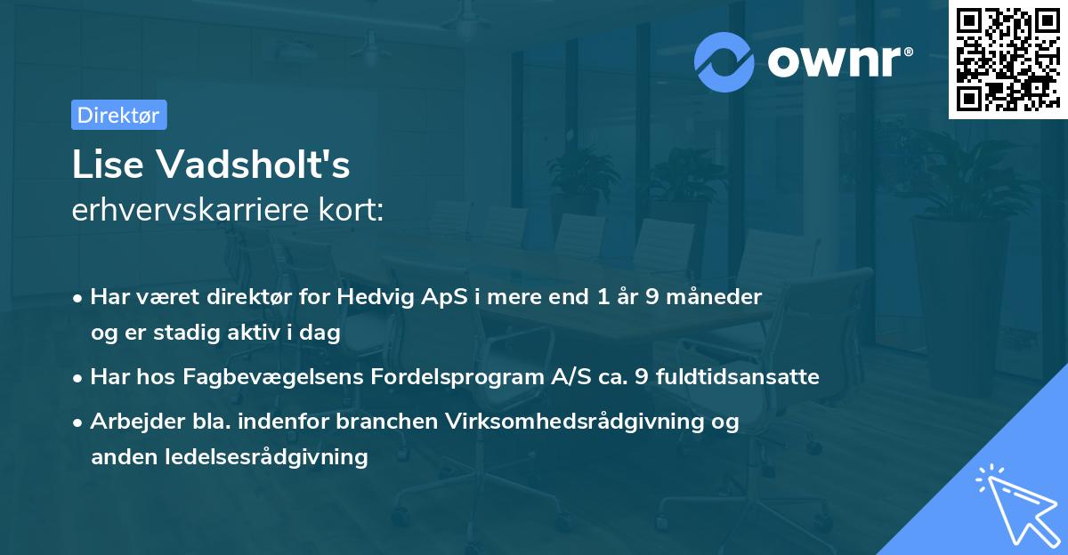 Lise Vadsholt's erhvervskarriere kort