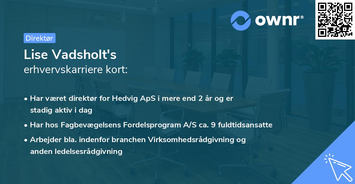 Lise Vadsholt's erhvervskarriere kort