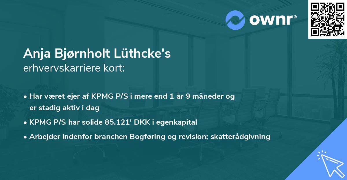 Anja Bjørnholt Lüthcke's erhvervskarriere kort