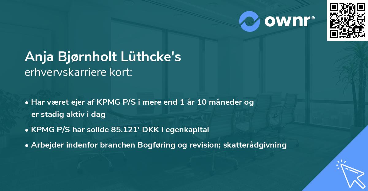 Anja Bjørnholt Lüthcke's erhvervskarriere kort