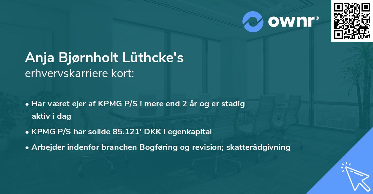 Anja Bjørnholt Lüthcke's erhvervskarriere kort