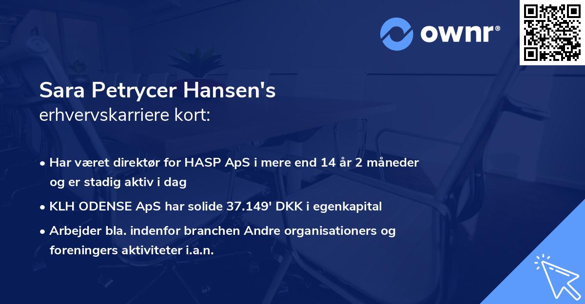 Sara Petrycer Hansen's erhvervskarriere kort