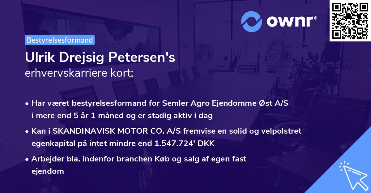 Ulrik Drejsig Petersen's erhvervskarriere kort