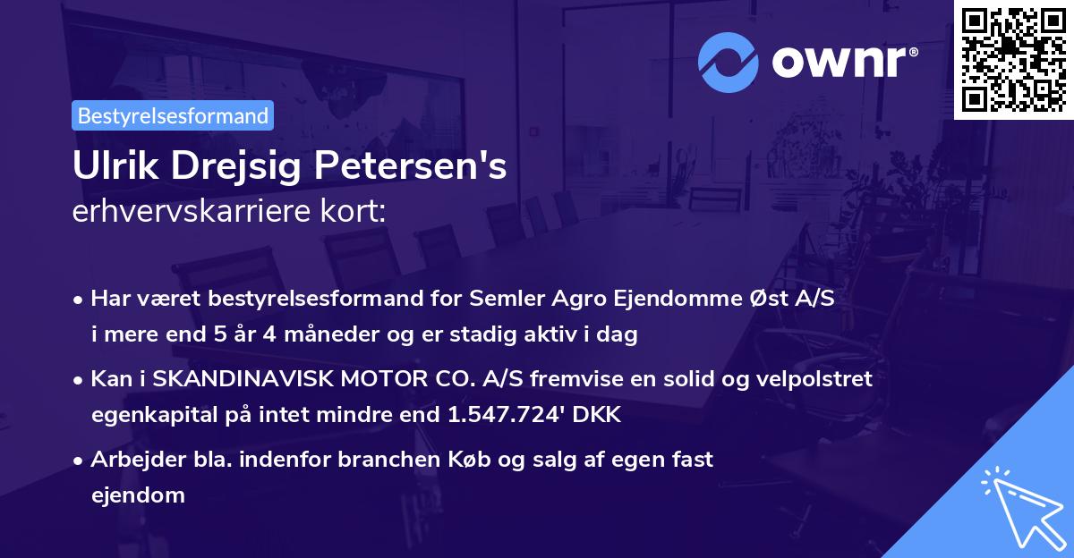 Ulrik Drejsig Petersen's erhvervskarriere kort