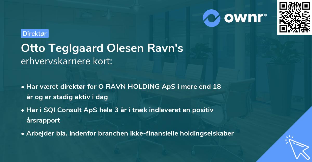 Otto Teglgaard Olesen Ravn's erhvervskarriere kort