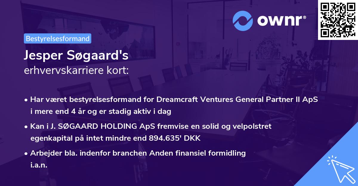 Jesper Søgaard's erhvervskarriere kort