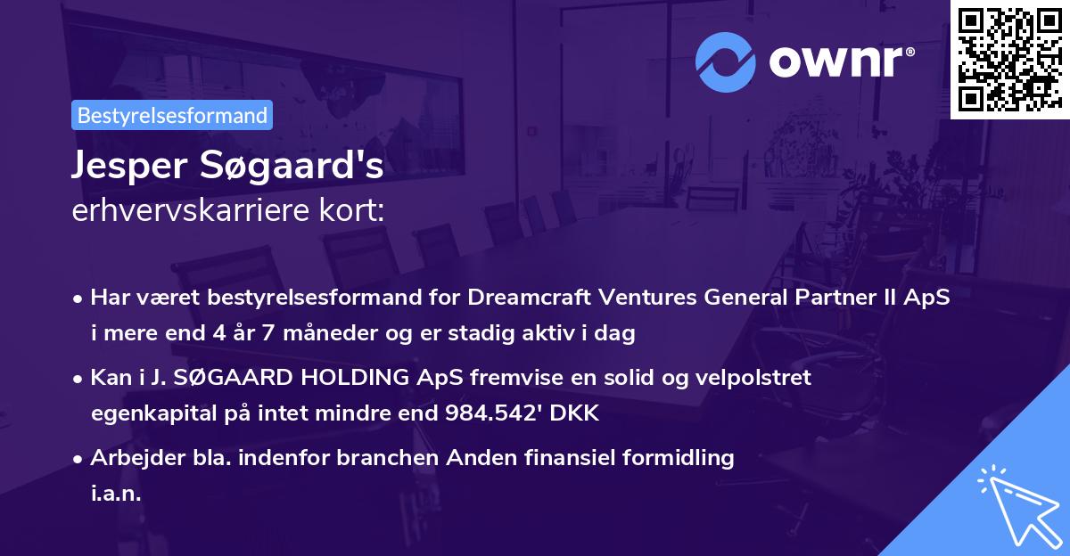 Jesper Søgaard's erhvervskarriere kort