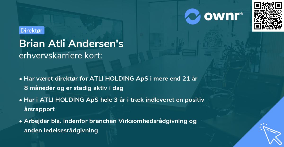 Brian Atli Andersen's erhvervskarriere kort