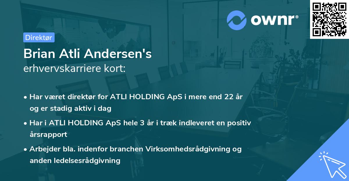 Brian Atli Andersen's erhvervskarriere kort