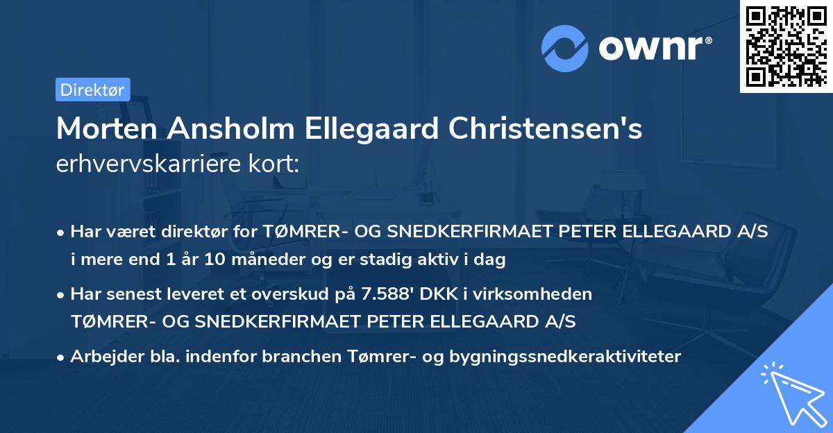 Morten Ansholm Ellegaard Christensen's erhvervskarriere kort