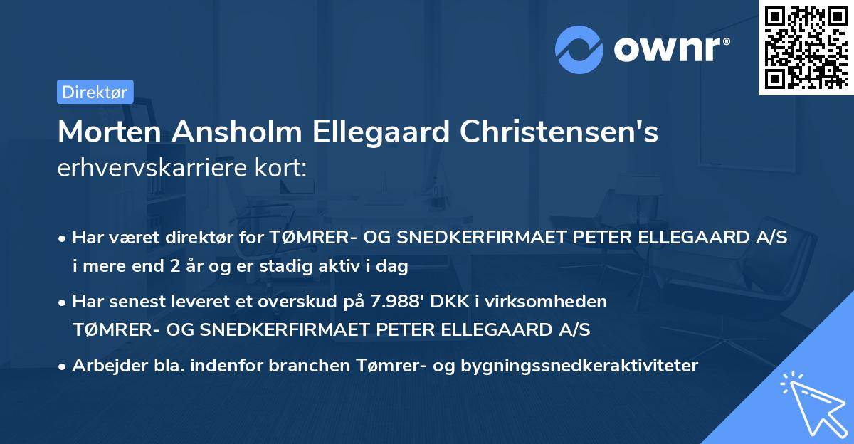 Morten Ansholm Ellegaard Christensen's erhvervskarriere kort
