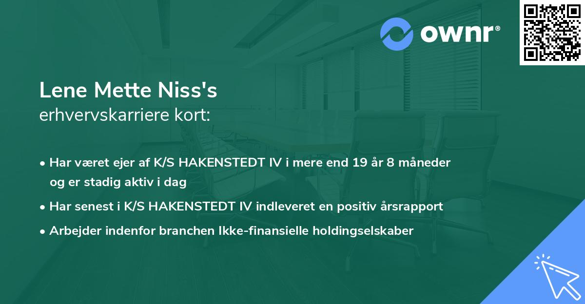 Lene Mette Niss's erhvervskarriere kort