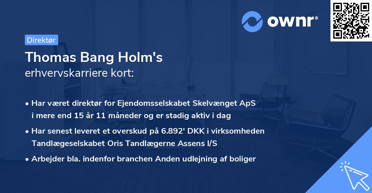 Thomas Bang Holm's erhvervskarriere kort