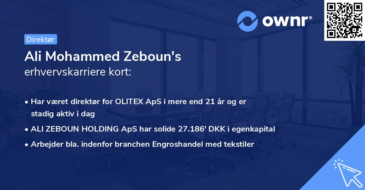 Ali Mohammed Zeboun's erhvervskarriere kort