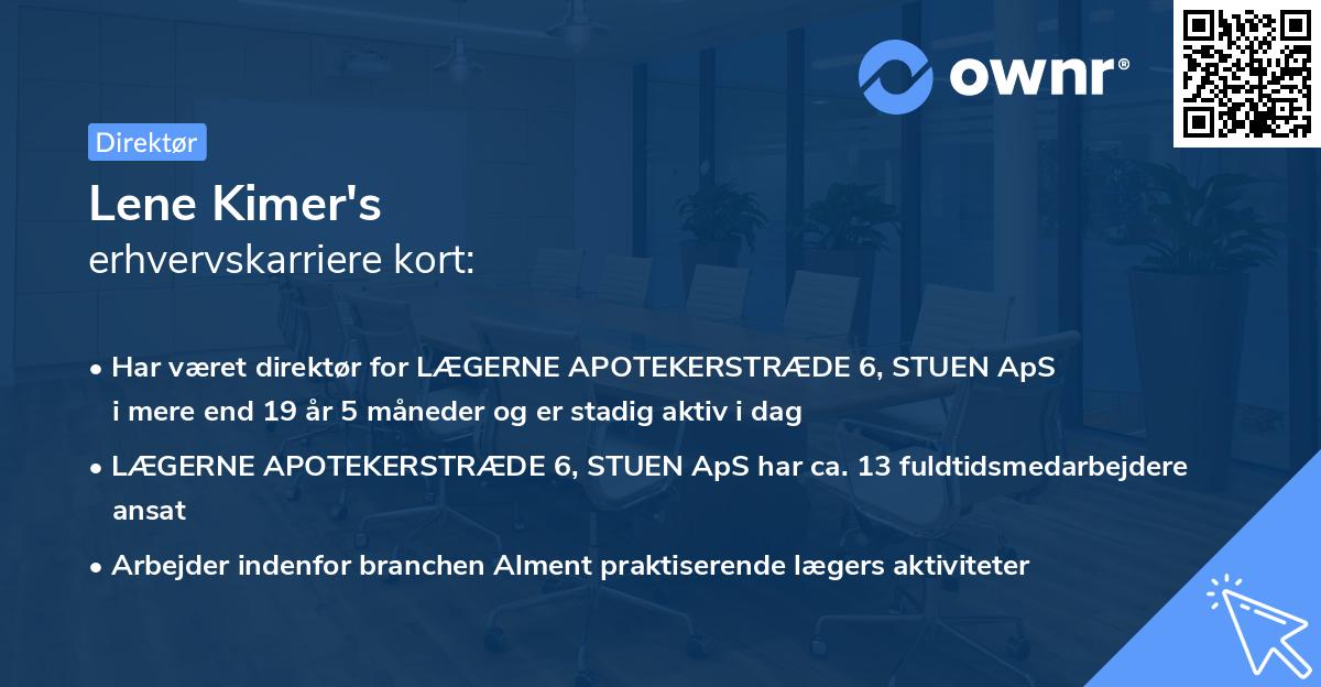 Lene Kimer's erhvervskarriere kort