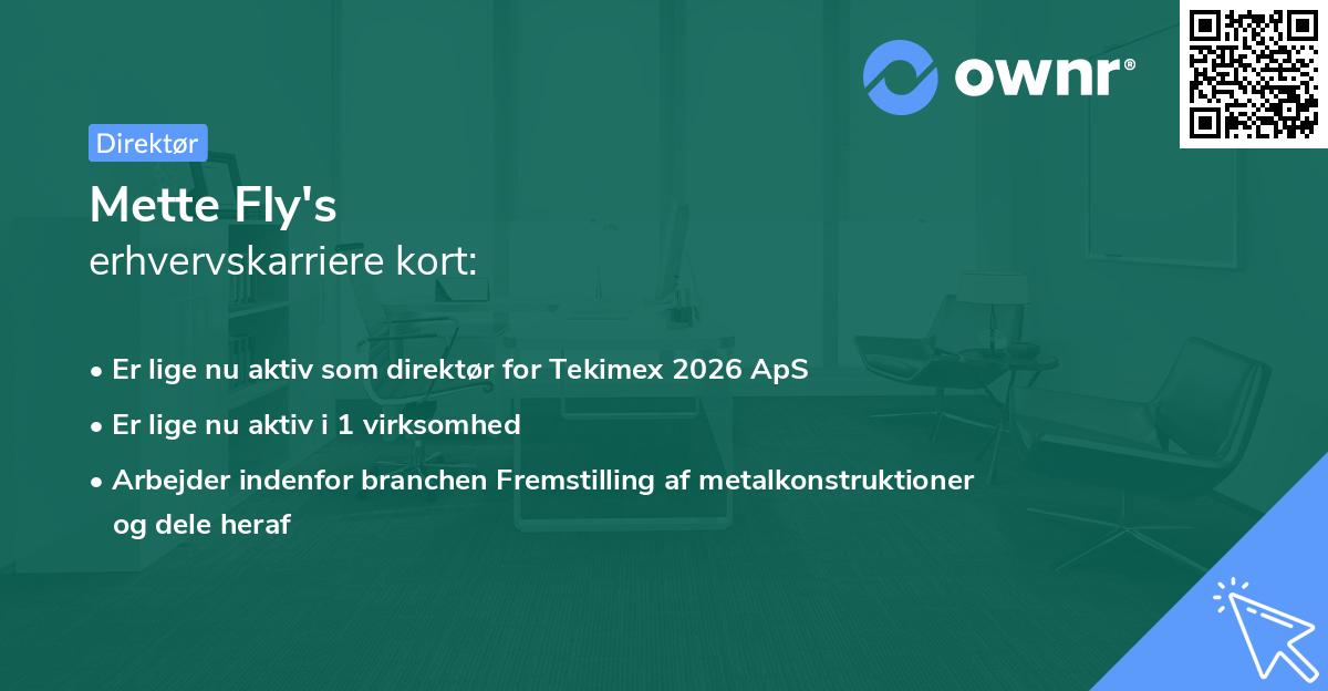 Mette Fly's erhvervskarriere kort
