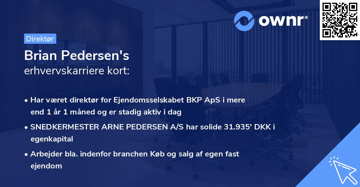 Brian Pedersen's erhvervskarriere kort