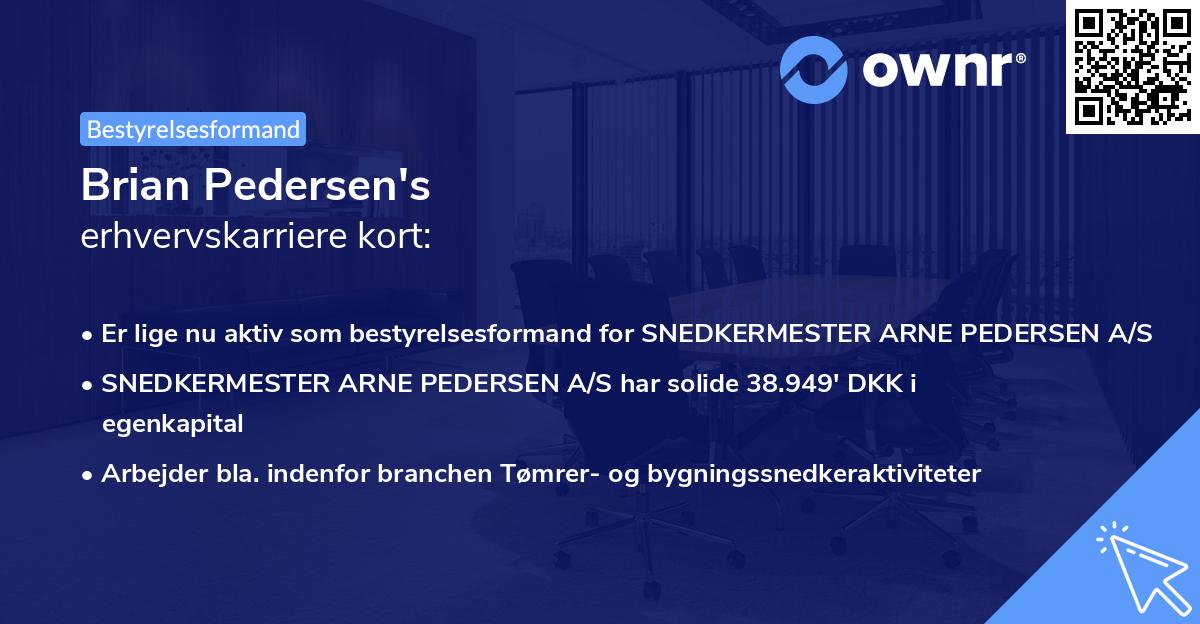 Brian Pedersen's erhvervskarriere kort