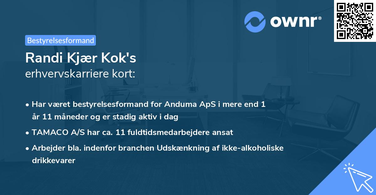 Randi Kjær Kok's erhvervskarriere kort