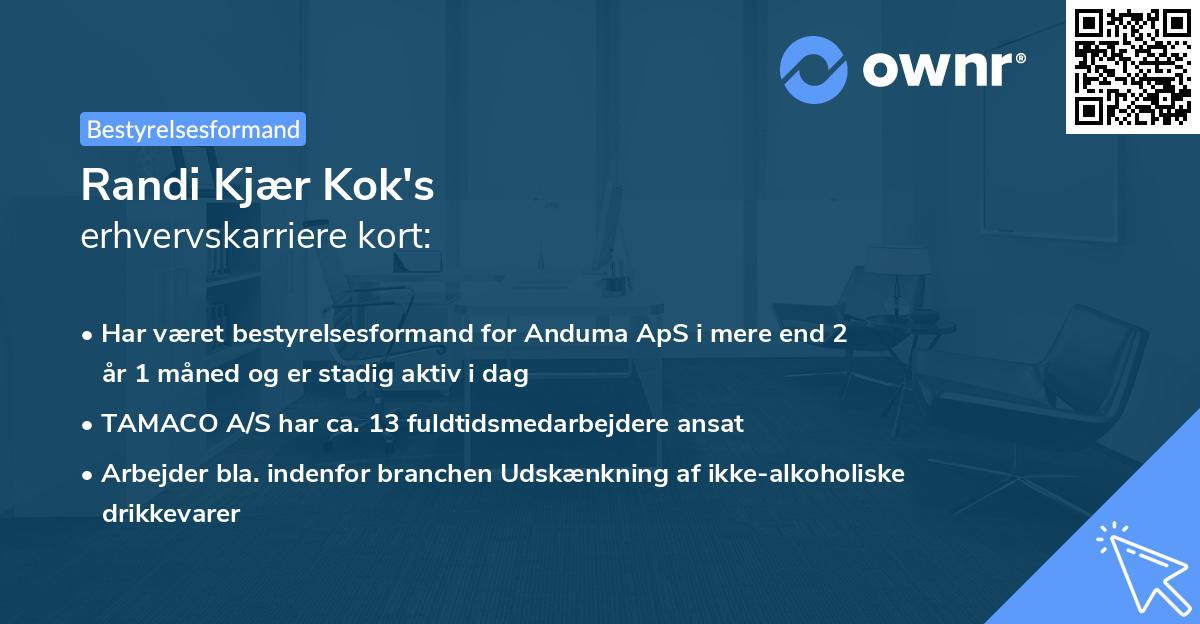 Randi Kjær Kok's erhvervskarriere kort