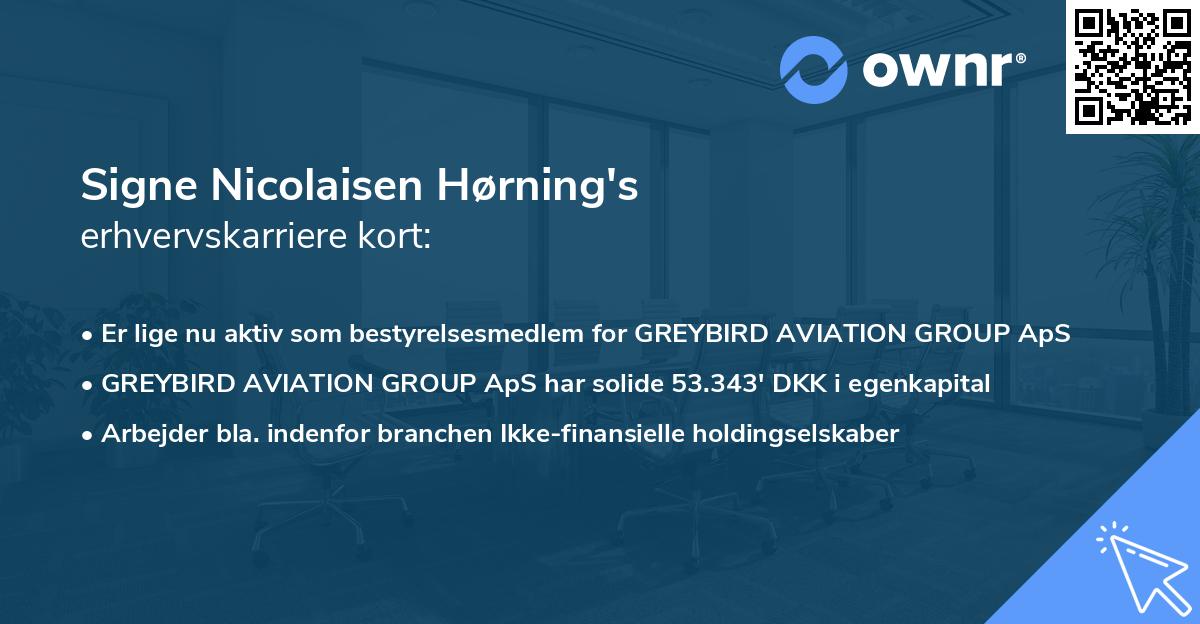 Signe Nicolaisen Hørning's erhvervskarriere kort