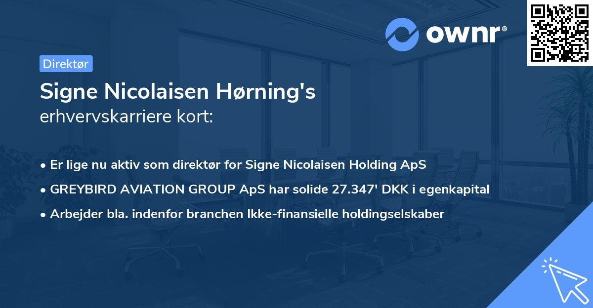 Signe Nicolaisen Hørning's erhvervskarriere kort