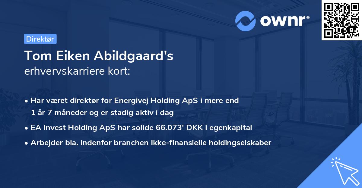 Tom Eiken Abildgaard's erhvervskarriere kort