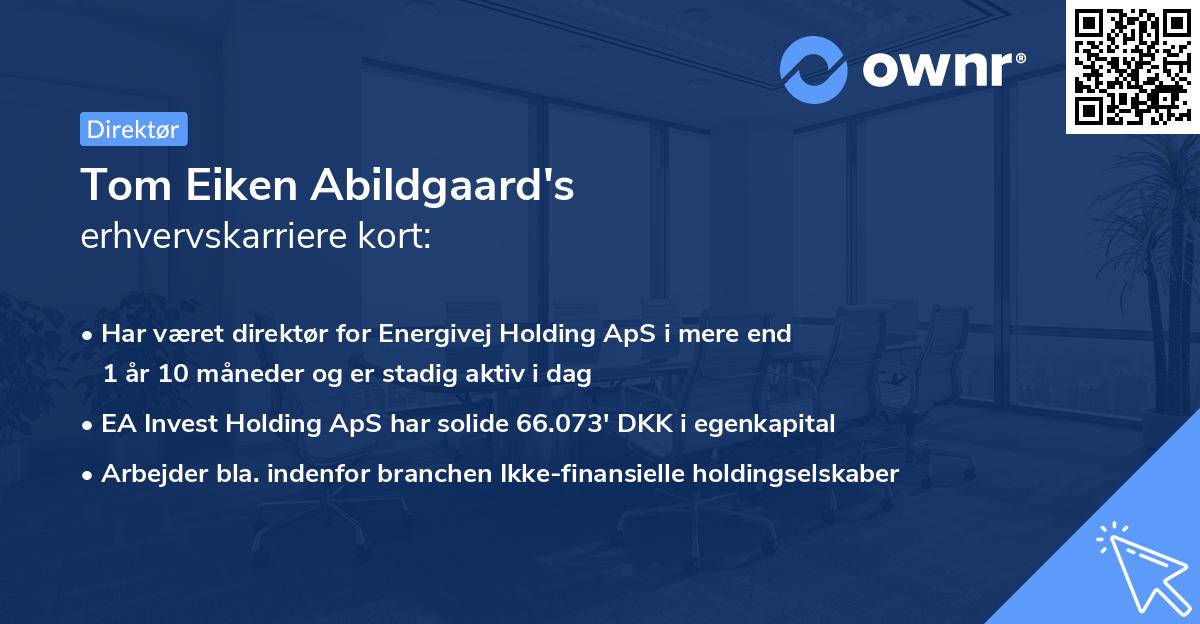Tom Eiken Abildgaard's erhvervskarriere kort