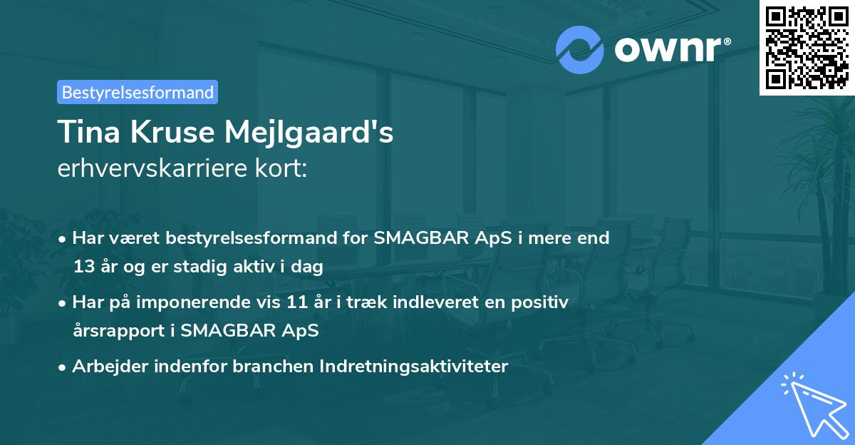 Tina Kruse Mejlgaard's erhvervskarriere kort