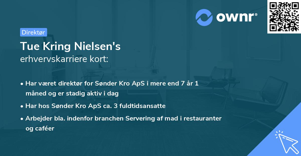 Tue Kring Nielsen's erhvervskarriere kort