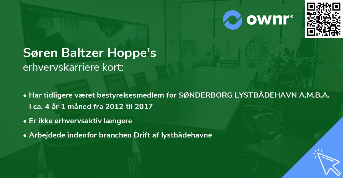 Søren Baltzer Hoppe's erhvervskarriere kort