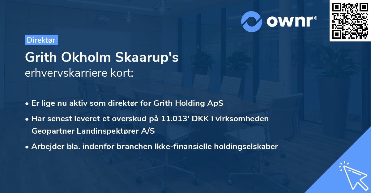 Grith Okholm Skaarup's erhvervskarriere kort