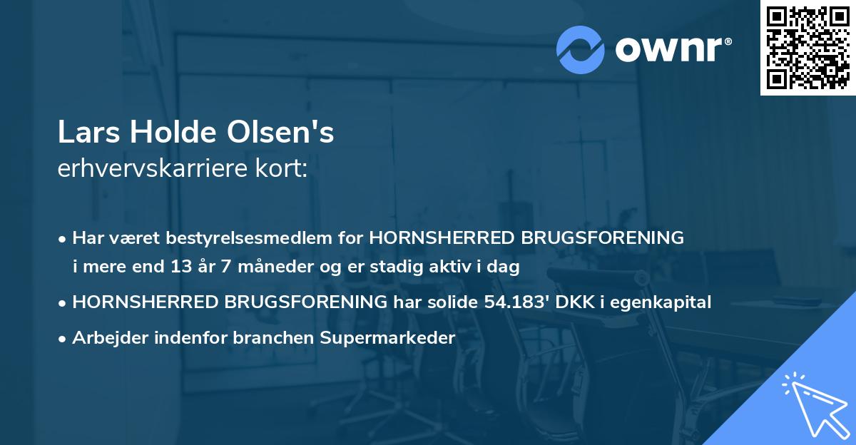 Lars Holde Olsen's erhvervskarriere kort