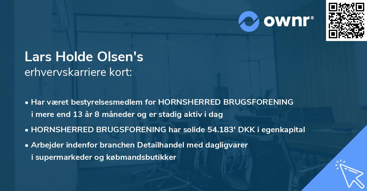 Lars Holde Olsen's erhvervskarriere kort