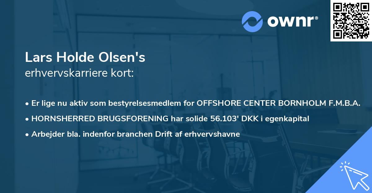 Lars Holde Olsen's erhvervskarriere kort