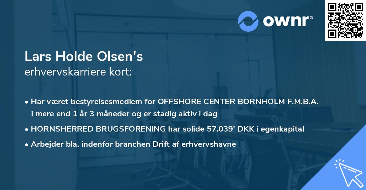 Lars Holde Olsen's erhvervskarriere kort