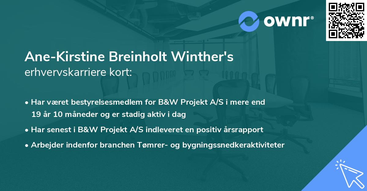 Ane-Kirstine Breinholt Winther's erhvervskarriere kort
