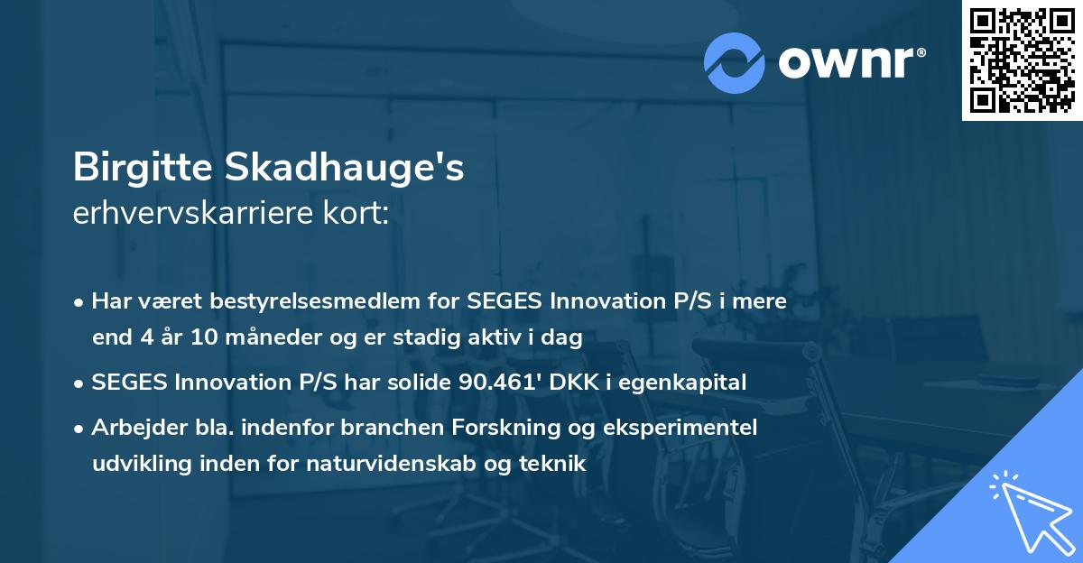 Birgitte Skadhauge's erhvervskarriere kort