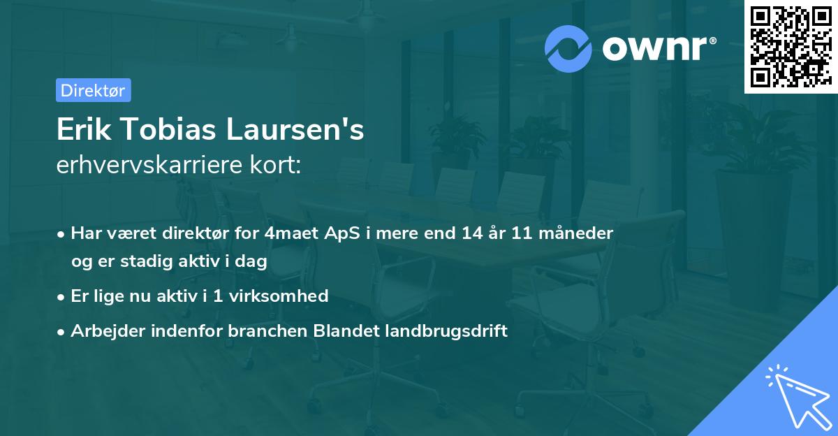 Erik Tobias Laursen's erhvervskarriere kort