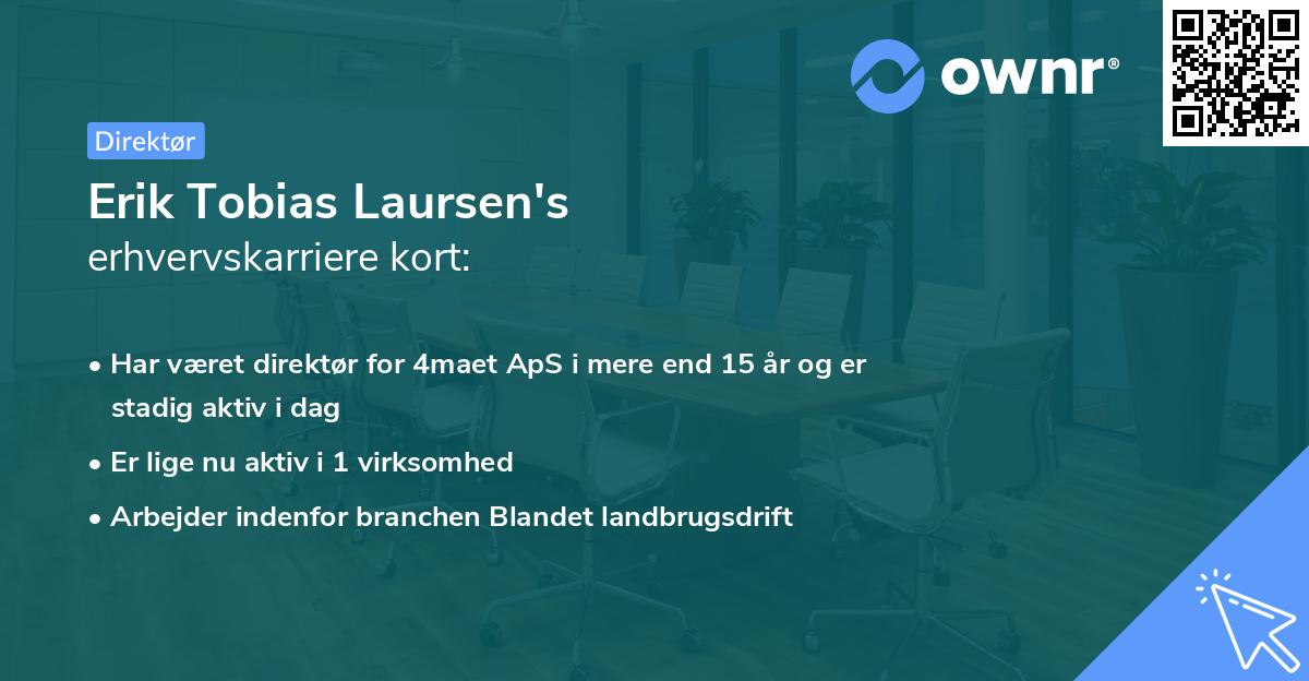 Erik Tobias Laursen's erhvervskarriere kort
