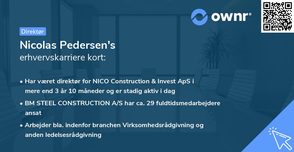 Nicolas Pedersen's erhvervskarriere kort