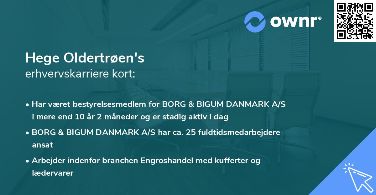 Hege Oldertrøen's erhvervskarriere kort