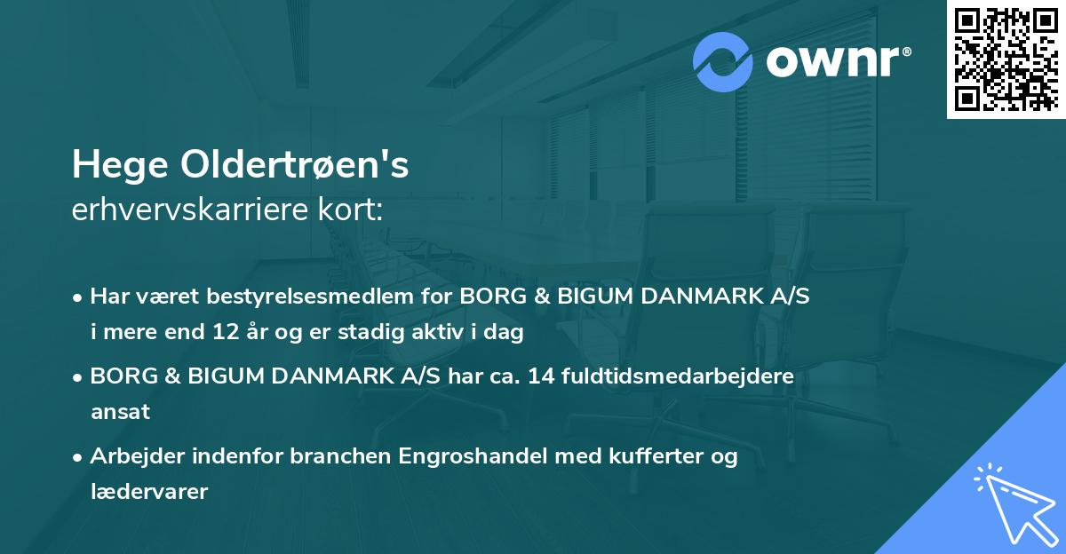 Hege Oldertrøen's erhvervskarriere kort