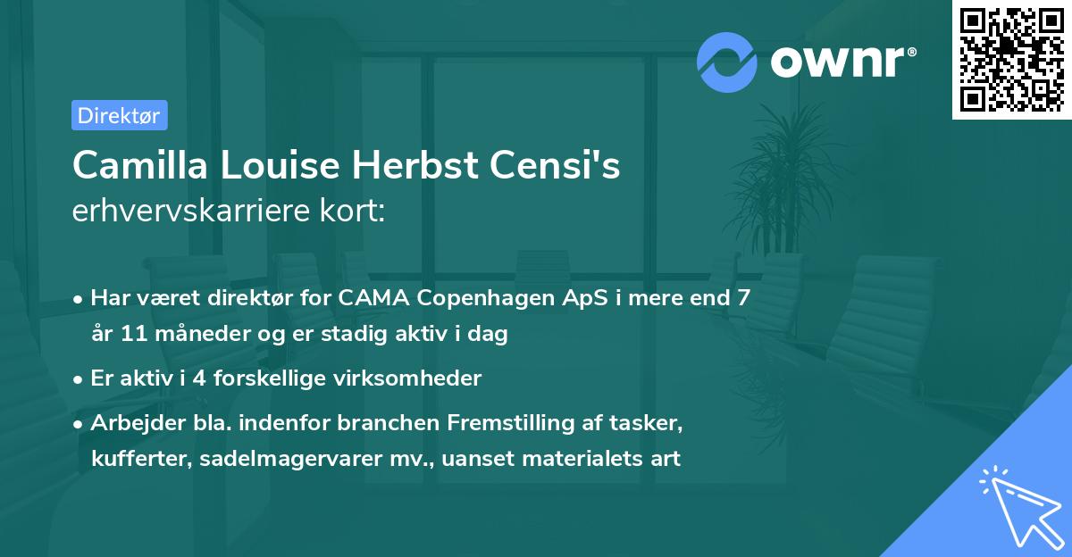 Camilla Louise Herbst Censi's erhvervskarriere kort