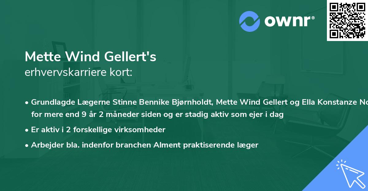 Mette Wind Gellert's erhvervskarriere kort