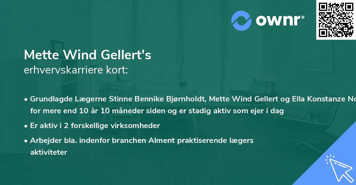 Mette Wind Gellert's erhvervskarriere kort