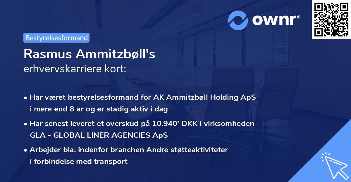 Rasmus Ammitzbøll's erhvervskarriere kort